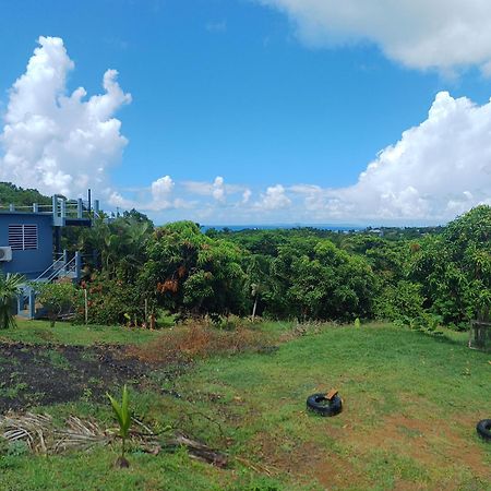 Rooster Run Glamping Camping Has Rooftop And Off The Ground Glamping Experience For 1 To 16 In A Single Tent And Views Of The Rain Forrest And To Culebra Across The Atlantic Ocean W Tents, Linens, Deluxe Air Beds, Warm Shower And More At A Great Pric Vieques Exterior foto