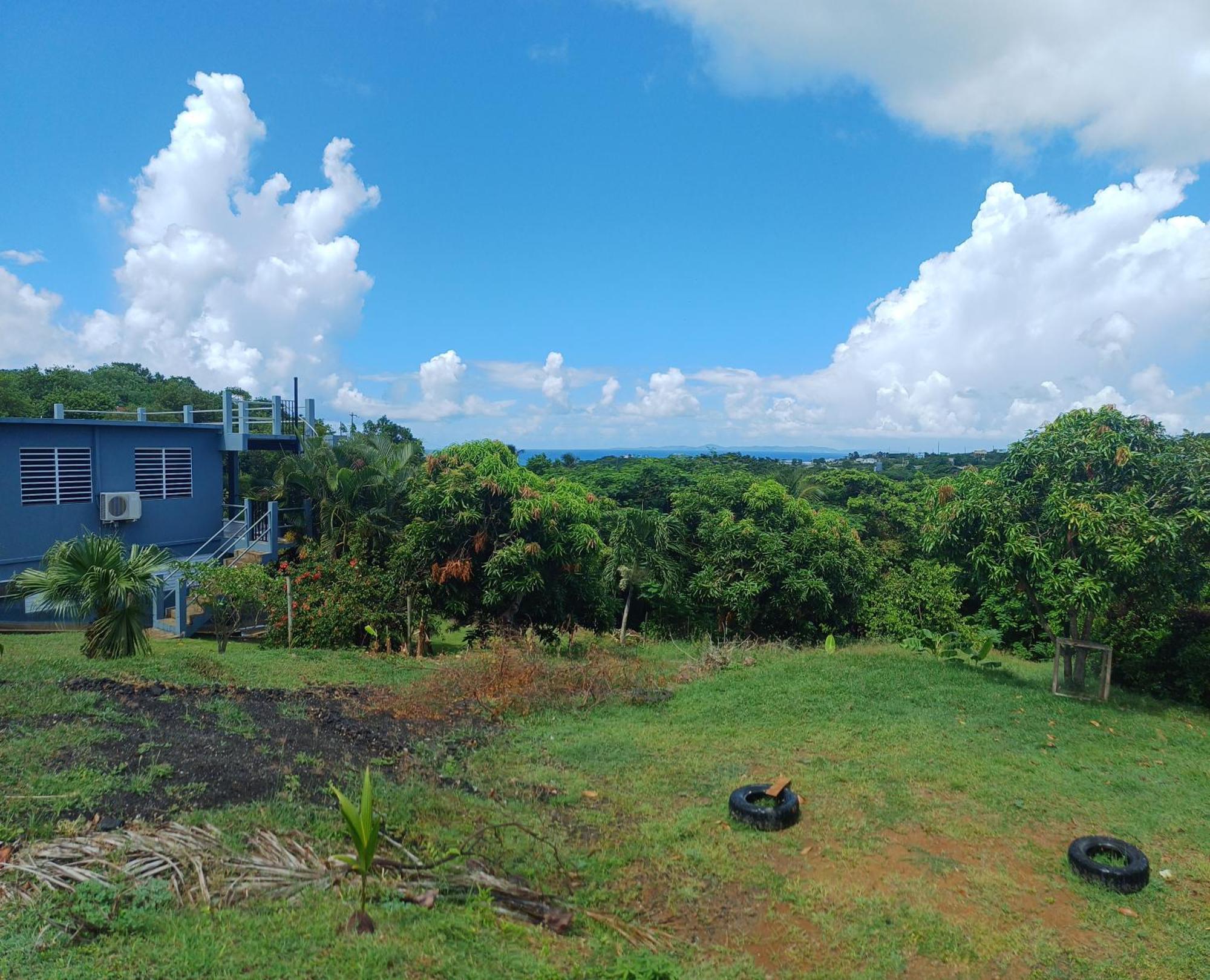 Rooster Run Glamping Camping Has Rooftop And Off The Ground Glamping Experience For 1 To 16 In A Single Tent And Views Of The Rain Forrest And To Culebra Across The Atlantic Ocean W Tents, Linens, Deluxe Air Beds, Warm Shower And More At A Great Pric Vieques Exterior foto