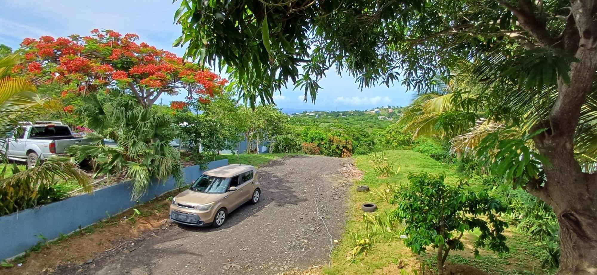 Rooster Run Glamping Camping Has Rooftop And Off The Ground Glamping Experience For 1 To 16 In A Single Tent And Views Of The Rain Forrest And To Culebra Across The Atlantic Ocean W Tents, Linens, Deluxe Air Beds, Warm Shower And More At A Great Pric Vieques Exterior foto