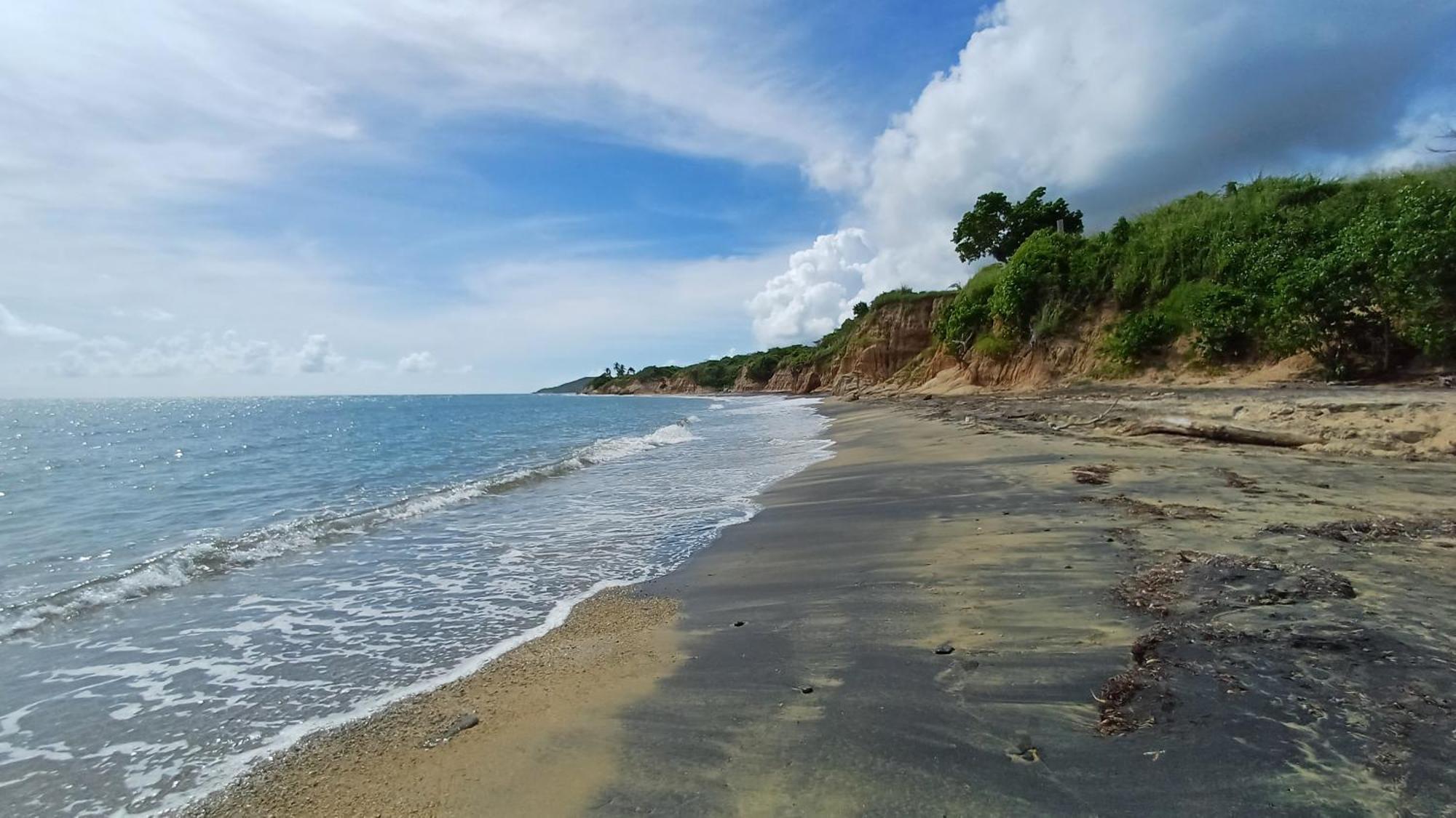 Rooster Run Glamping Camping Has Rooftop And Off The Ground Glamping Experience For 1 To 16 In A Single Tent And Views Of The Rain Forrest And To Culebra Across The Atlantic Ocean W Tents, Linens, Deluxe Air Beds, Warm Shower And More At A Great Pric Vieques Exterior foto